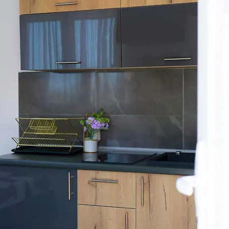 Luxury Milicevic 2 Apartman